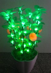 LED盆栽